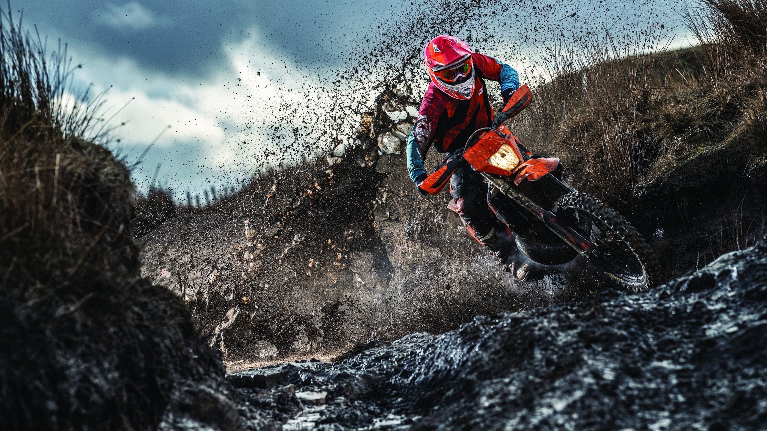 莱奥封神夜，沙特击溃厄瓜多尔背后的足球革命，硬仗之王是如何炼成的